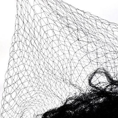 2m Wide Bird Netting Per Metre