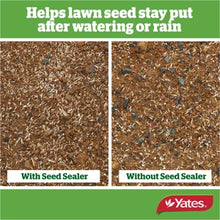 Load image into Gallery viewer, YATES LAWN SEED SEALER 2 LITRE HOSE ON
