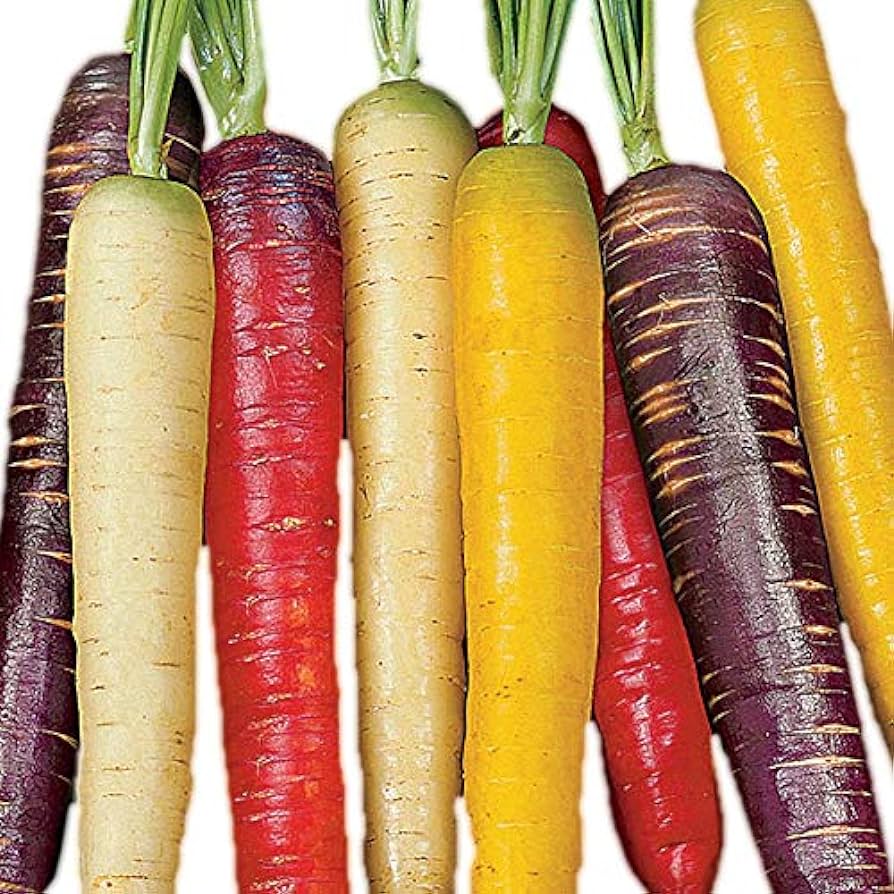 CARROT RAINBOW TEAM POWER SEED