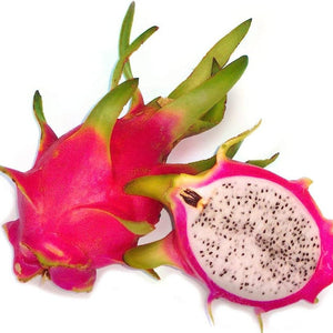 HYLOCEREUS PITAYA DRAGONFRUIT WHITE 4.0L