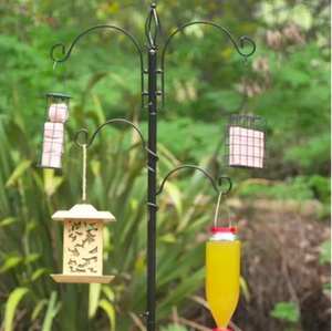 BIRD FEEDER - THE HANGOUT