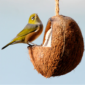 BIRD FEEDER - COCONUT FEEDER