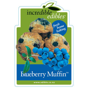 BLUEBERRY NORTHERN HIGHBUSH MUFFIN 1.9L