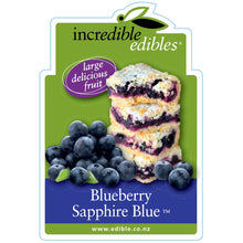 Load image into Gallery viewer, BLUEBERRY RABBITEYE SAPPHIRE BLUE 3.0L
