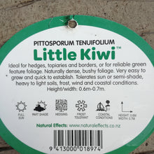 Load image into Gallery viewer, PITTOSPORUM SHRUB LITTLE KIWI 2.5L
