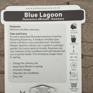 ROSEMARY BLUE LAGOON 2.0L