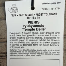 Load image into Gallery viewer, PIERIS TEMPLE BELLS 2.6L
