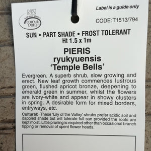 PIERIS TEMPLE BELLS 2.6L