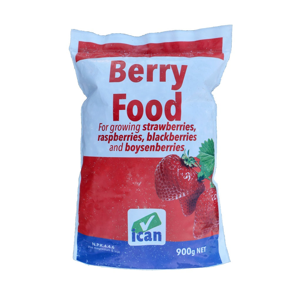 ICAN BERRY FOOD 900G