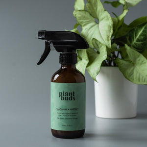 PLANTBUDS LEAF SHINE & PROTECT 250ML