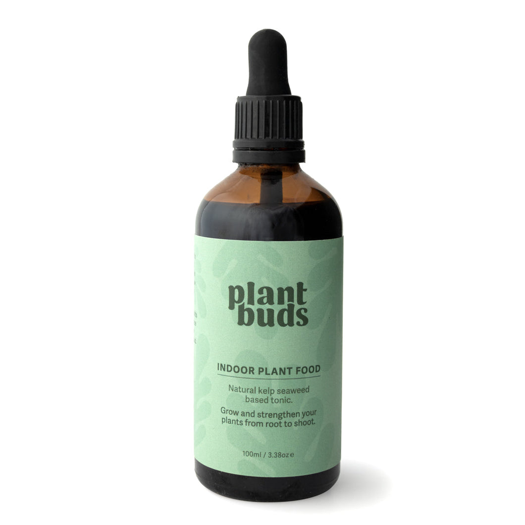 PLANTBUDS INDOOR PLANT FOOD 100ML