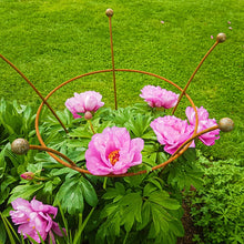 Load image into Gallery viewer, PEONY TRUMPET 5 LEG 96CM PLANT SUPPORT
