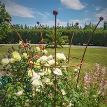 Load image into Gallery viewer, PEONY TRUMPET 5 LEG 96CM PLANT SUPPORT
