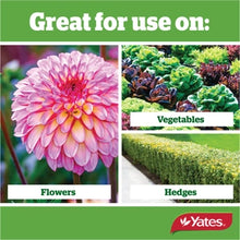 Load image into Gallery viewer, YATES THRIVE ALL PURPOSE SOLUBLE LIQUID FERTILISER 1KG CONCENTRATE
