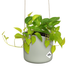 Load image into Gallery viewer, ELHO B FOR SWING HANGING BASKET 18CM STONE GREEN
