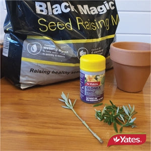 YATES BLACK MAGIC SEED RAISING MIX 5L