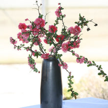 Load image into Gallery viewer, CHAENOMELES PINK STORM 90CM STANDARD 8.5L
