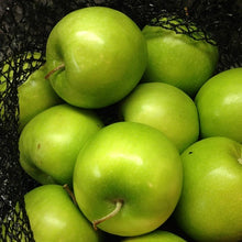 Load image into Gallery viewer, APPLE SEMI DWARF GRANNY SMITH 4.7L
