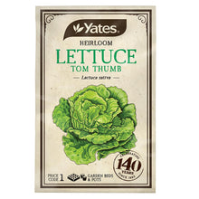 Load image into Gallery viewer, LETTUCE TOM THUMB HEIRLOOM SEED
