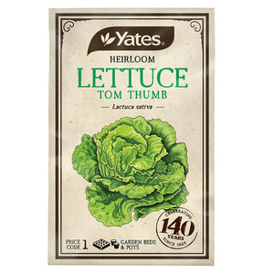 LETTUCE TOM THUMB HEIRLOOM SEED