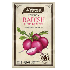 RADISH PINK BEAUTY HEIRLOOM SEED