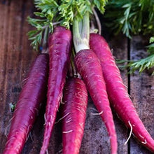 Load image into Gallery viewer, CARROT PURPLE HEIRLOOM SEED
