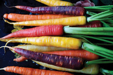 Load image into Gallery viewer, CARROT RAINBOW TEAM POWER SEED
