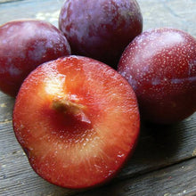 Load image into Gallery viewer, PLUM SANTA ROSA 4.5L
