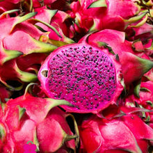 Load image into Gallery viewer, HYLOCEREUS PITAYA DRAGON FRUIT RED 4.0L
