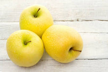 Load image into Gallery viewer, APPLE SEMI DWARF GOLDEN DELICIOUS PB18
