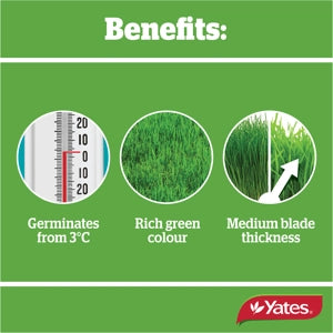 YATES LAWN SEED SOW ANYTIME 4KG