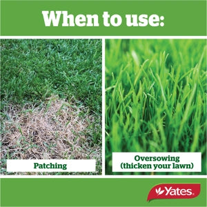 YATES LAWN SEED SOW ANYTIME 1KG