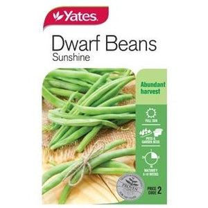 BEANS DWARF SUNSHINE SEED