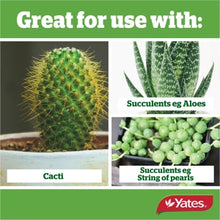 Load image into Gallery viewer, YATES THRIVE CACTI &amp; SUCCULENT MIX 6L
