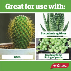 YATES THRIVE CACTI & SUCCULENT MIX 6L