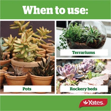 Load image into Gallery viewer, YATES THRIVE CACTI &amp; SUCCULENT MIX 15L
