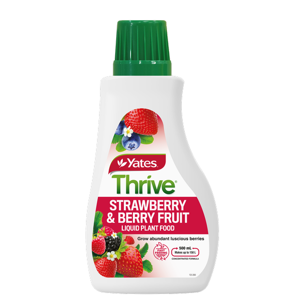 YATES THRIVE STRAWBERRY & BERRY LIQUID FERTILISER 500ML CONCENTRATE