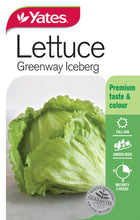 Load image into Gallery viewer, LETTUCE ICEBERG GREENWAY SEED
