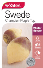 Load image into Gallery viewer, SWEDE CHAMPION PURPLE SEED
