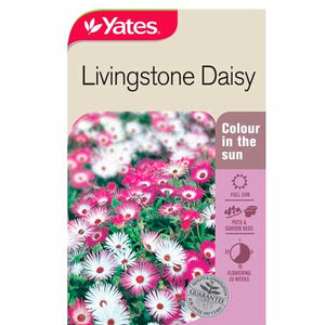 LIVINGSTONE DAISY SEED