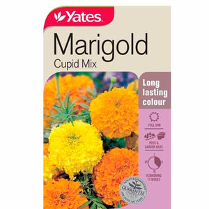 MARIGOLD CUPID DWARF MIX SEED