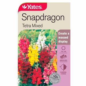 SNAPDRAGON TETRA MIX SEED