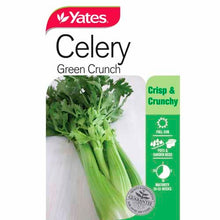 Load image into Gallery viewer, CELERY GREENCRUNCH SEED
