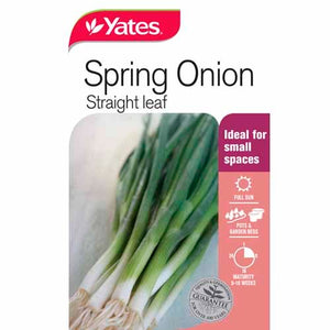 SPRING ONION STRAIGHT SEED