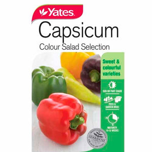 CAPSICUM COLOUR SALAD SEED