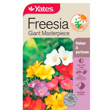 Load image into Gallery viewer, FREESIA GIANT MASTER SEED
