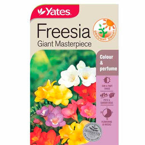 FREESIA GIANT MASTER SEED