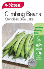 Load image into Gallery viewer, BEANS CLIMBING BLUE LAKE SEED
