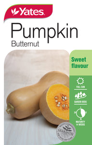 PUMPKIN BUTTERNUT SEED