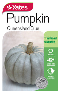 PUMPKIN QUEENSLAND BLUE SEED